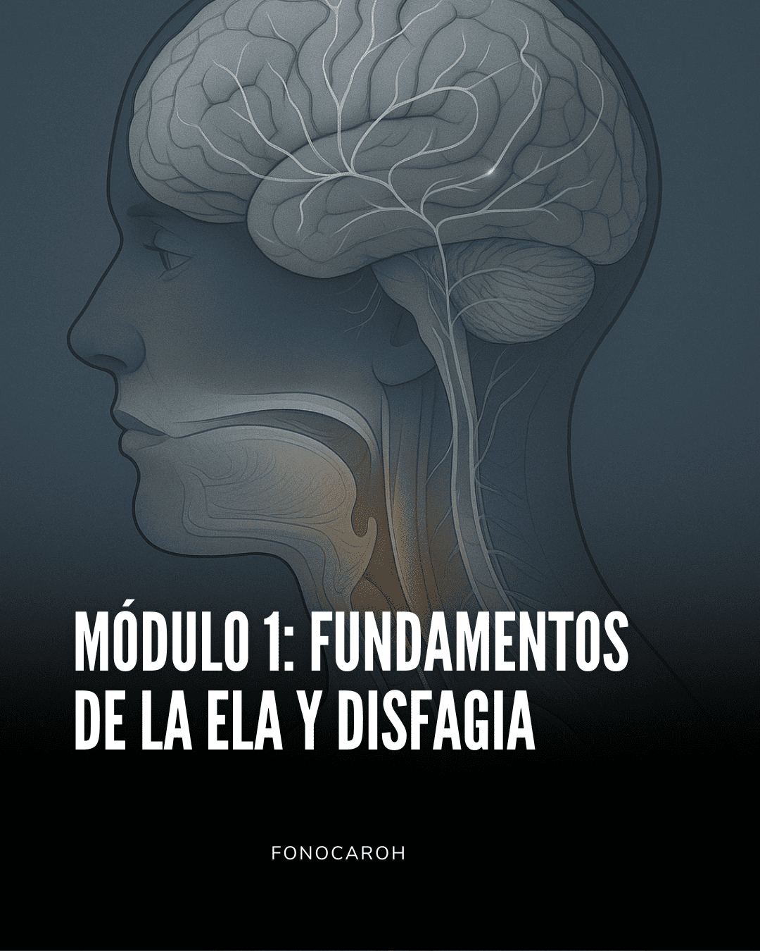 Módulo 1: Fundamentos de la ELA y Disfagia - Curso Avanzado ELA